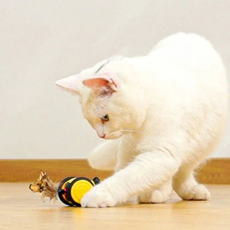 Pet Toys