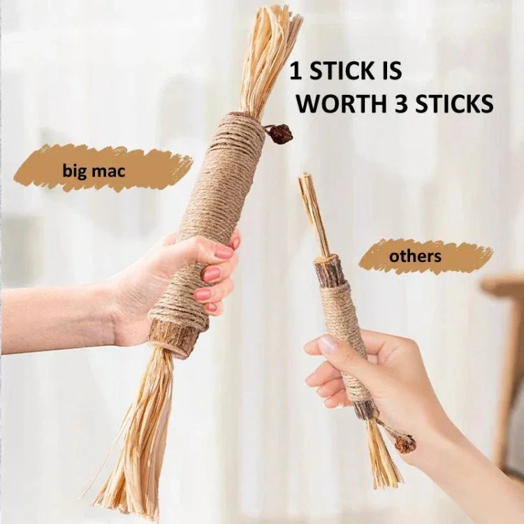 Texto alternativo da imagem