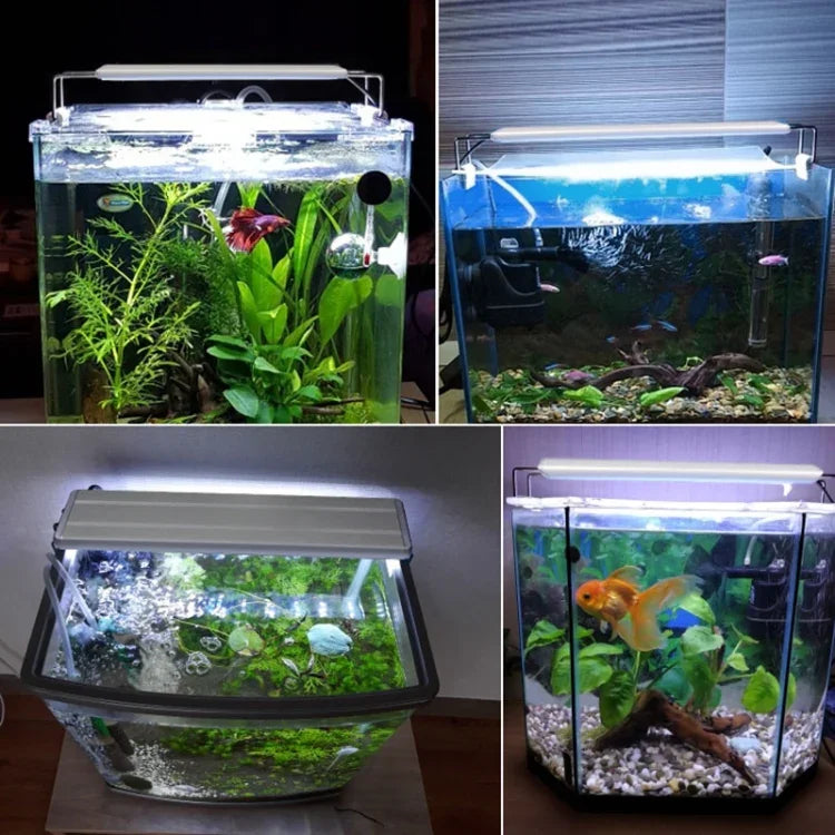 Aquário XY-30K Tanque de Peixes de Vidro Lâmpada LED Aquática com Suporte, Ficha US, XY-30K