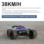 SCY-16101 2.4G 1:16 Caminhão Monstro Elétrico 4WD RC Carro Coupé de Brinquedo, SCY-16101 / Azul