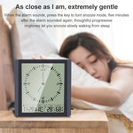 TS-8675 Multifunction Large Screen Clock Household Creative Thermometer Hygrometer, TS-8675