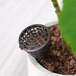 10 Peças de Ferramentas para Bonsai Produtos de Jardinagem Caixas de Fertilizante para Bonsai com Tampa, Tamanho Pequeno: 4 x 3cm
