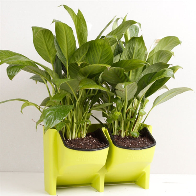 Parede de Plantas Vertical Interior e Exterior Varanda Vasos de Flores Montados na Parede Combinação Criativa de Vasos de Flores em Resina Plástica com Vaso Removível