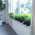 Parede de Plantas Vertical Interior e Exterior Varanda Vasos de Flores Montados na Parede Combinação Criativa de Vasos de Flores em Resina Plástica com Vaso Removível
