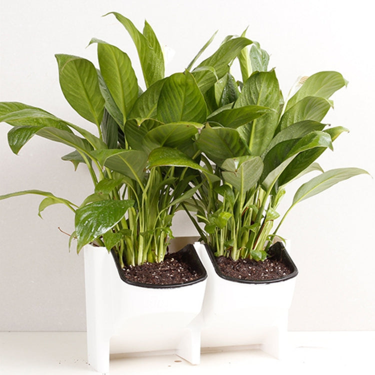 Parede de Plantas Vertical Interior e Exterior Varanda Vasos de Flores Montados na Parede Combinação Criativa de Vasos de Flores em Resina Plástica com Vaso Removível