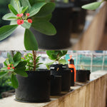 Saco de Cultivo para Plantas de 20 Galões, Tecido Não Tecido Espesso com Aeração, Recipiente com Alça, 20 Galões
