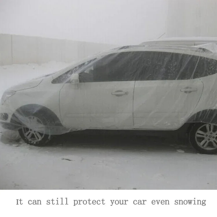 نص بديل للصورة