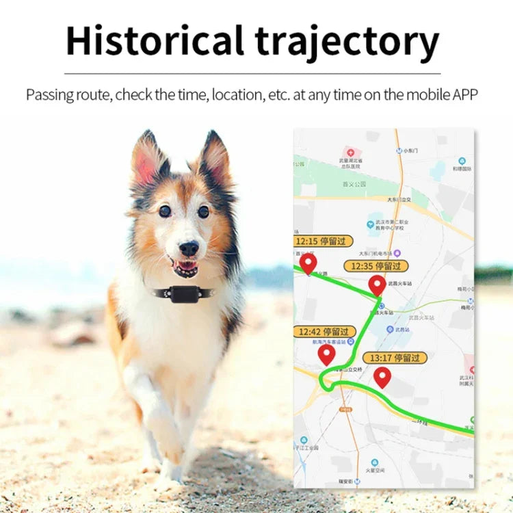 P03 Rastreador GPS para Animais de Estimação 2G à Prova de Água Localizador GPS+AGPS+WiFi+LBS, P03