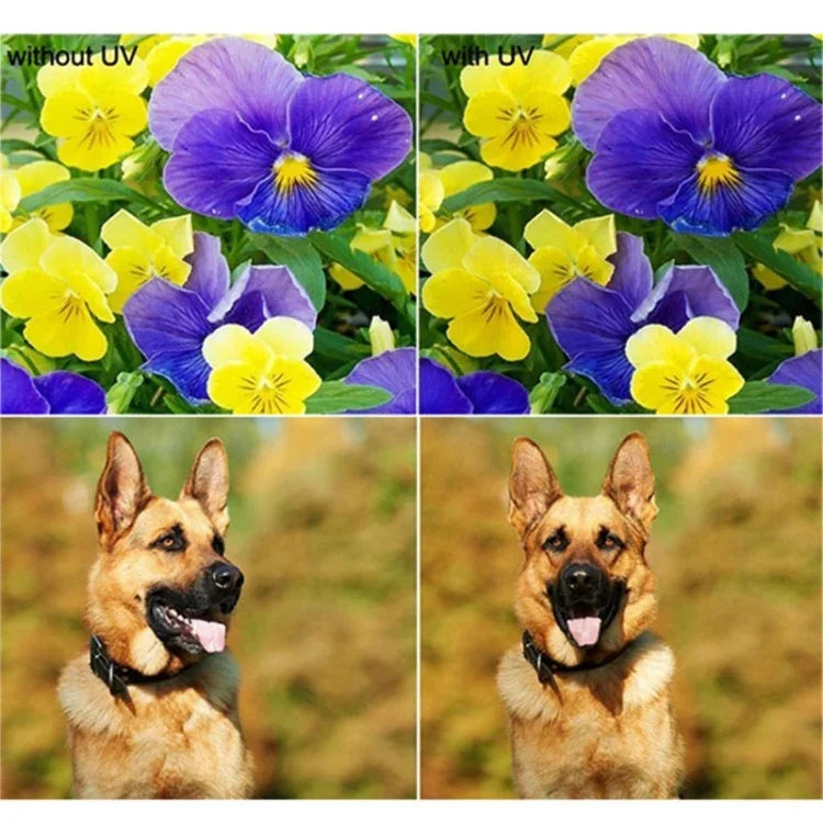 JUNESTAR para Câmara de Ação Xiaomi Xiaoyi Yi II 4K Sport Filtro UV Profissional 37mm + Tampa Protetora para Lente, Filtro UV + Tampa para Lente