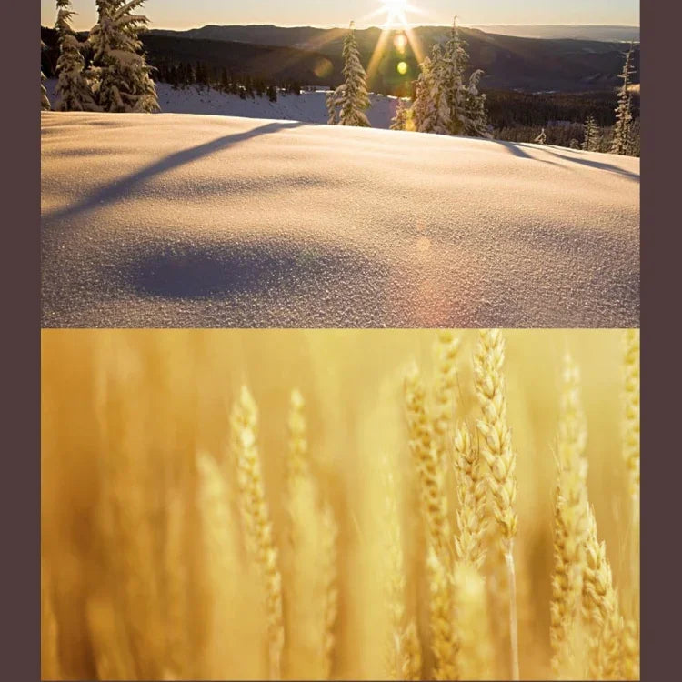 Filtro de Lente MCUV Profissional JUNESTAR para Câmara de Ação Xiaomi Xiaoyi Yi II 4K, Filtro de Lente MCUV