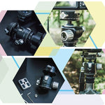 Cabeça de Bola Panorâmica FITTEST X4 com Baixo Centro de Gravidade e Alta Força de Bloqueio com Placa de Libertação Rápida para DSLR e Câmaras Digitais, Carga Máx 10kg, YT040 X4