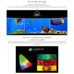 Monitor de Campo de Câmara SEETEC 4K215-9HSD-CO 1920x1080 21.5 polegadas SDI / HDMI Full HD Director Box, 4K215-9HSD-CO