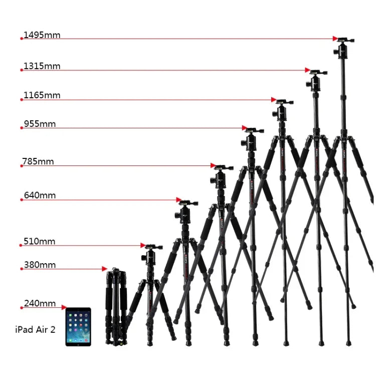 Tripé Portátil Ajustável em Fibra de Carbono TRIOPO T259G+Q2 com Cabeça de Bola Q-2 para Câmara SLR, T259G+Q2