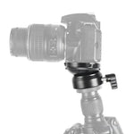 BEXIN DY-60N Tripé Profissional com Rosca de 3/8 polegadas, Base de Cabeça Panorâmica de 360 Graus com Nível de Bolha e Adaptador de Parafuso de 3/8 polegadas, DY-60N 3/8 polegadas