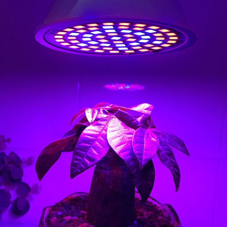 Lâmpada LED para Crescimento de Plantas 20W 60 LEDs, E27, E14