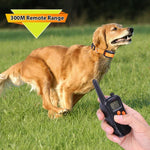 998DC Colar de Choque Elétrico com Controlo Remoto para Parar Latidos, Dispositivo de Treino para Cães, Ficha EU, Ficha US, Ficha AU