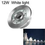 Luz de Fonte Subaquática LED em Anel de Aço Inoxidável para Paisagismo, 6W, 9W, 12W, 18W, 24W