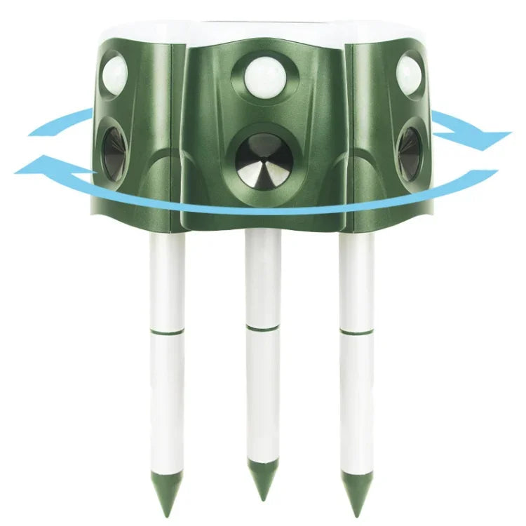 نص بديل للصورة