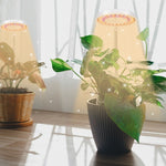 Luz de Preenchimento para Crescimento de Plantas Suculentas 10W 48 LEDs, Anel de Anjo, Abelha, Tubo Redondo