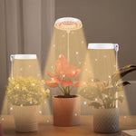 Luz de Preenchimento para Crescimento de Plantas Suculentas 10W 48 LEDs, Anel de Anjo, Abelha, Tubo Redondo