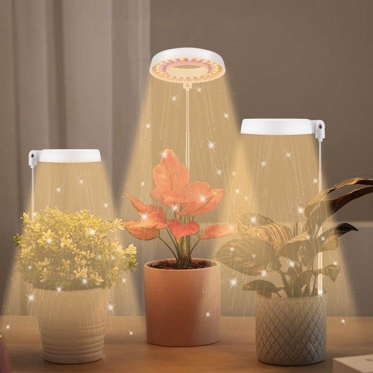 Luz de Preenchimento para Crescimento de Plantas Suculentas 10W 48 LEDs, Anel de Anjo, Abelha, Tubo Redondo