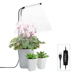 Luz de Preenchimento para Crescimento de Plantas Suculentas 10W 48 LEDs, Anel de Anjo, Abelha, Tubo Redondo
