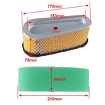 Filtro de Ar para Briggs & Stratton 496894S 493909S 272403S, Para Briggs & Stratton 272403S