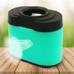 Filtro de Ar para Briggs & Stratton 792105 276890 4163205 4163206 44H777, Para Briggs & Stratton 792105
