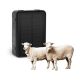 Rastreador GPS para Gado e Ovelhas à Energia Solar V44, Rastreador GPS V44