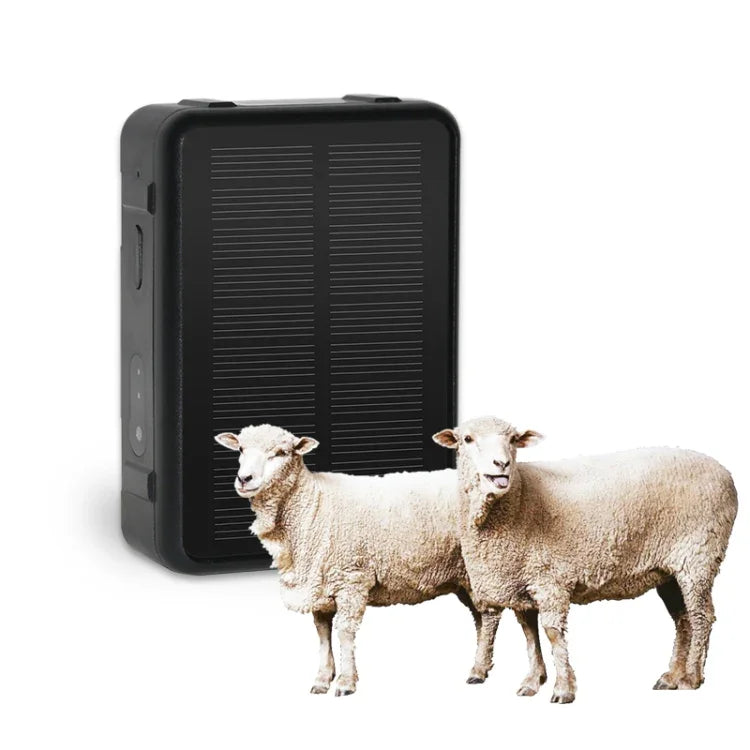 Rastreador GPS para Gado e Ovelhas à Energia Solar V44, Rastreador GPS V44