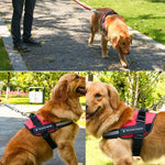 Peitoral para Cão Anti Corrida em Tecido Oxford K9, Correia de Tração, M para 13-23kg, L para 23-30kg, XL para 28-40kg, XXL para 40-70kg, S para 6-14kg