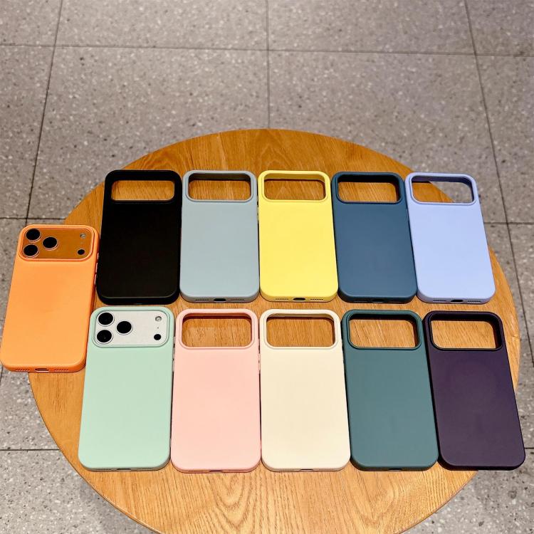 Capa para telemóvel MagSafe em silicone líquido, para iPhone 11, para iPhone 11 Pro