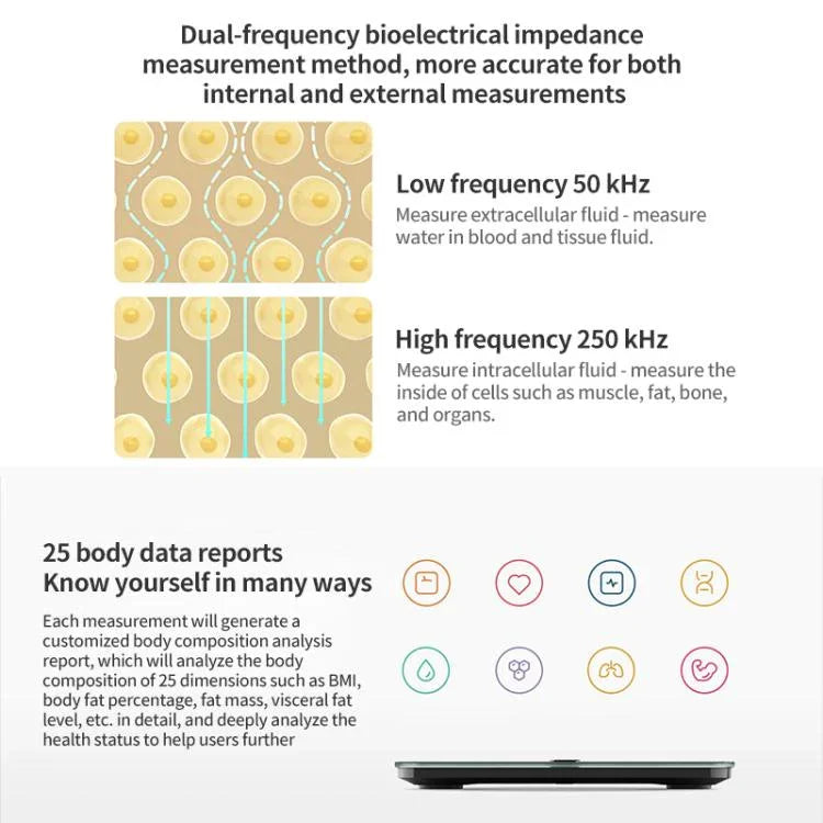 Texto alternativo da imagem