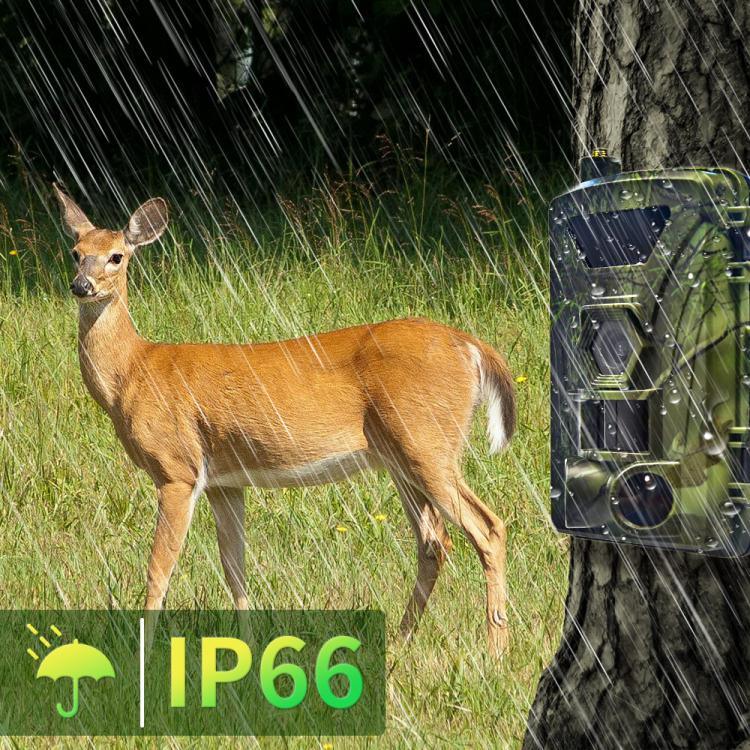 Câmara de Caça com Detecção de Movimento Infravermelha de Visão Noturna 4K HD Versão EU 4G PR802G