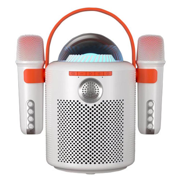 Lebo Y11 Coluna Bluetooth Portátil para Karaoke Sem Fios com Microfone Duplo para Exterior
