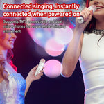 Lebo Y11 Coluna Bluetooth Portátil para Karaoke Sem Fios com Microfone Duplo para Exterior
