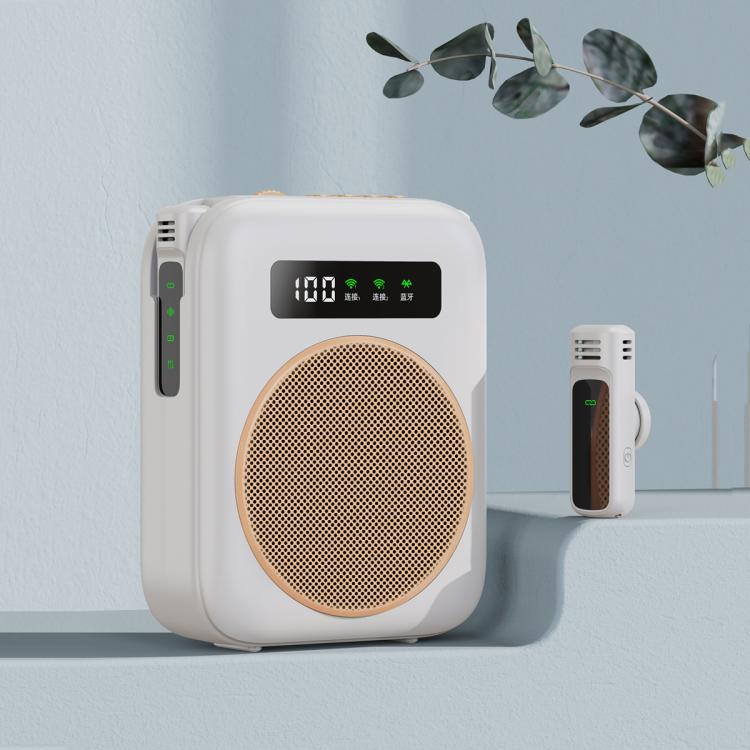 Amplificador de Voz para Ensino com Microfone Sem Fios Mini M10 com Ecrã