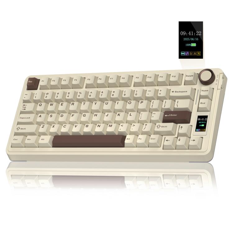 نص بديل للصورة