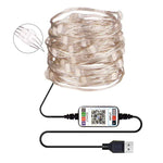 Fita de Luz de Cobre LED RGB USB para Decoração de Férias, Controlo por APP Móvel Bluetooth, 2m 20 LEDs, 5m 50 LEDs, 10m 100 LEDs, 12m 120 LEDs, 15m 150 LEDs, 20m 200 LEDs