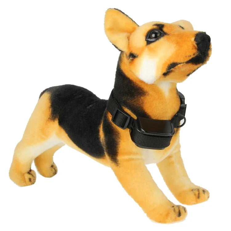 Colar de Treino para Cão Recarregável e à Prova de Água com Controlo Remoto de 300m e Ecrã LCD, Controlo Remoto de 300m