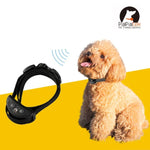 PD258 Sistema Automático de Controlo de Treino para Cães com Colar Anti-Latidos, Tamanho S, PD258 (Prateado), PD258 (Café), PD258 (Dourado), PD258 (Dourado Rosa), PD258 Preto