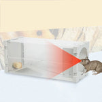 Gaiola Humana para Animais Vivos, Ratos, Camundongos e Outros Roedores Pequenos, Gaiola Transparente de PP, Armadilha com Porta Humana