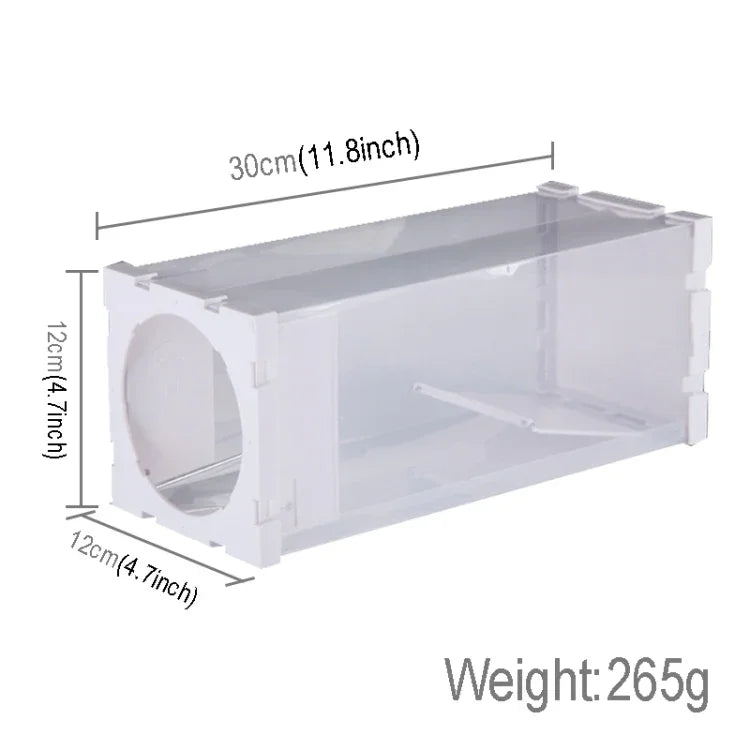 Gaiola Humana para Animais Vivos, Ratos, Camundongos e Outros Roedores Pequenos, Gaiola Transparente de PP, Armadilha com Porta Humana