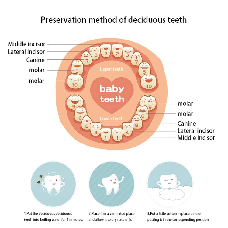Caixa Criativa de Armazenamento de Dentes de Leite em Madeira para Crianças com Design de Televisão, HC2008A, HC2008B, HC2008C