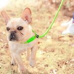 Treino para Cães Corda de Tração com Luz Reflectora e Alça Robusta, Corda de Tração para Treino