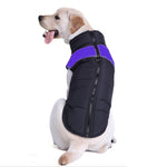 Colete de Algodão para Cão Roupa de Esqui, Tamanho: 5XL, Peito: 68cm, Comprimento das Costas: 60cm, Tamanho: 5XL
