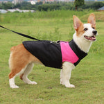 Colete de Algodão para Cão Roupa de Esqui, Tamanho: M, Peito: 42cm, Comprimento das Costas: 31cm, Tamanho: M