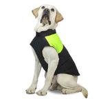 Colete de Algodão para Cão Roupa de Esqui, Tamanho: M, Peito: 42cm, Comprimento das Costas: 31cm, Tamanho: M