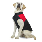 Colete de Algodão para Cão Roupa de Esqui, Tamanho: M, Peito: 42cm, Comprimento das Costas: 31cm, Tamanho: M