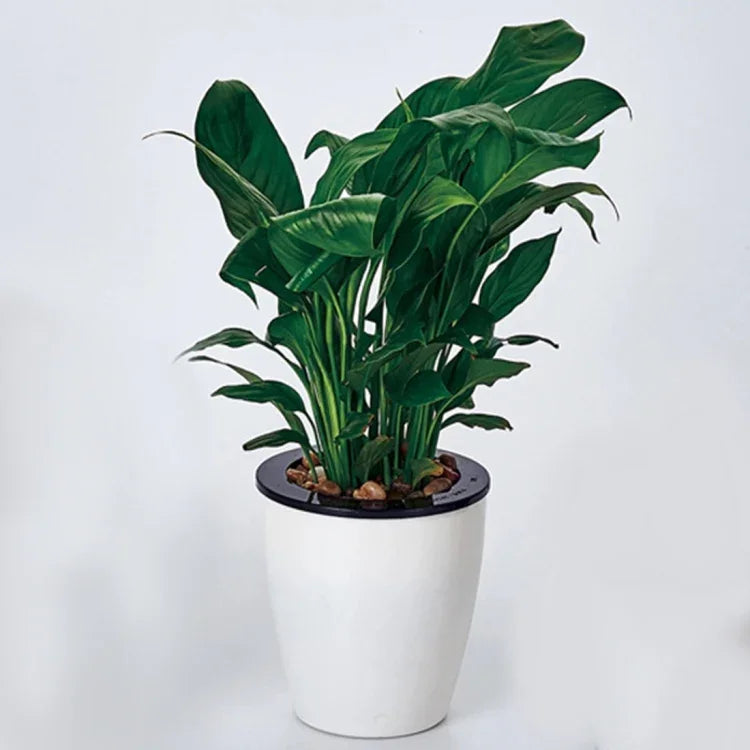 Vasos de Flores Preguiçosos com Autoabsorção de Água, Vasos Hidropónicos Automáticos em Resina Plástica Circular, Design de Dupla Camada, Vaso Autoirrigável, Diâmetro: 11cm, Altura: 10,3cm, Diâmetro: 11cm, Altura: 10,3cm